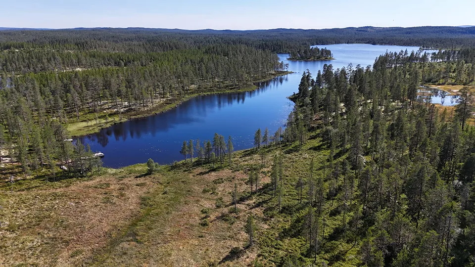 Pinewood Cabins - Big lake seen from the back