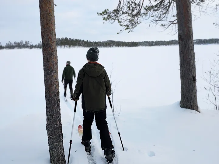 Pinewood Cabins - Cross country skiing