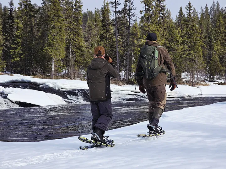 Pinewood Cabins - Snow shoes