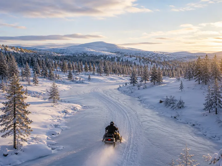 Pinewood Cabins - Winter activity Snowmobil